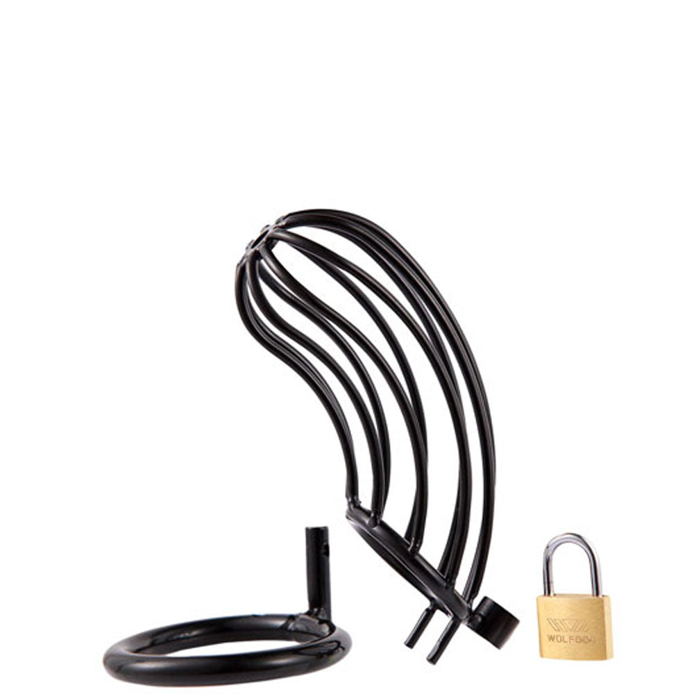 Cinto de Castidade Curvado Vazado com Anel e Cadeado